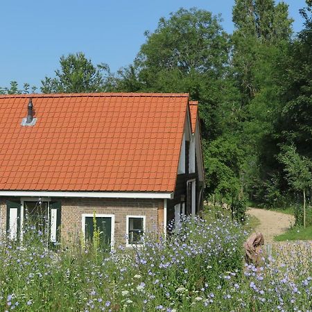 Het Kunstenaarshuis Kamperland Luaran gambar