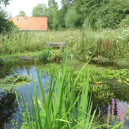 Het Kunstenaarshuis Kamperland Luaran gambar